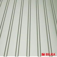 Профилирана ламарина Т12 Гланц/ 0,4мм