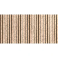 ВИНИЛОВ САЙДИНГ FRONTO (СВЕТЪЛ ДЪБ) V-BLACK 