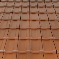 Контитон 12 (Винеам) - Медно кафяво