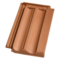 Традитон 12 (Македо) - Естествен цвят 