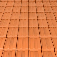 Традитон 12 (Македо) - Естествен цвят 